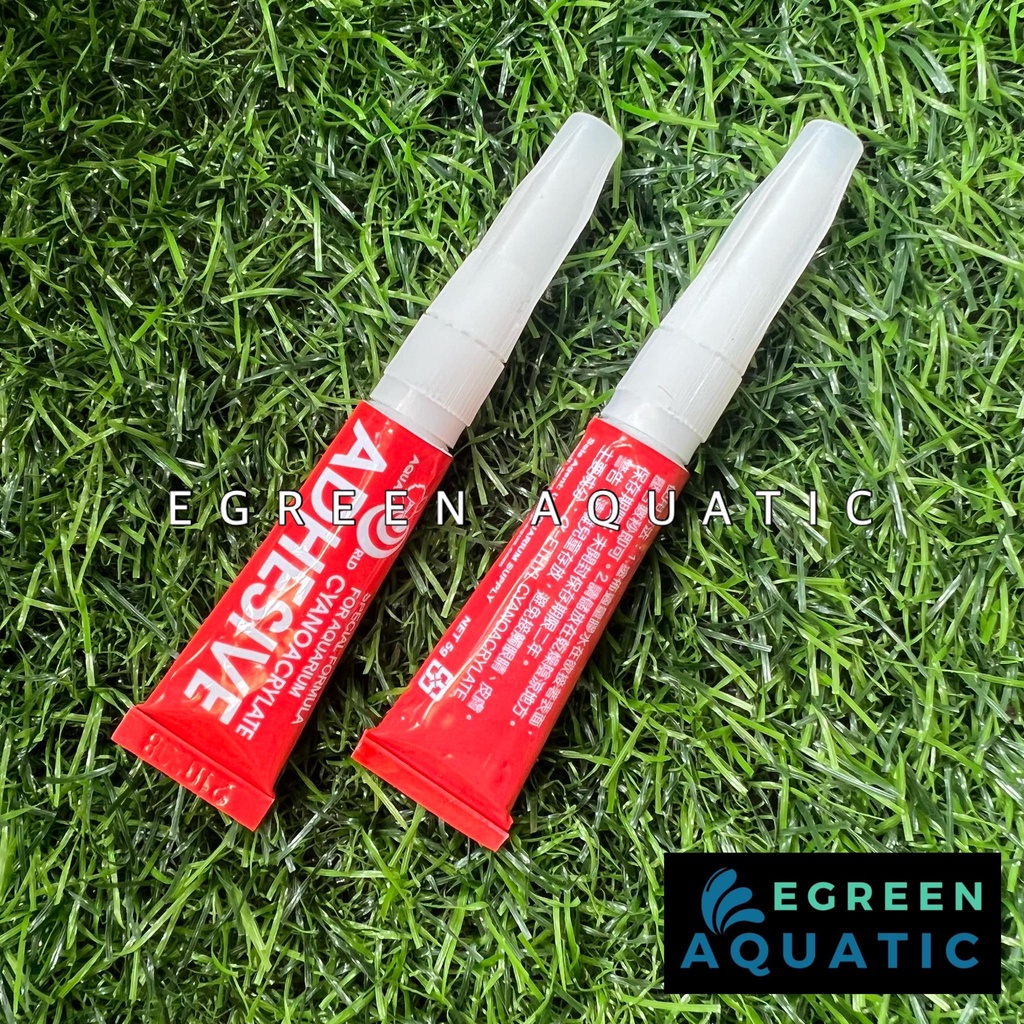 Aquarium Glue Cyanoacrylate Adhesive Superglue for Aquascape Plants Stones Woods Fish Tank