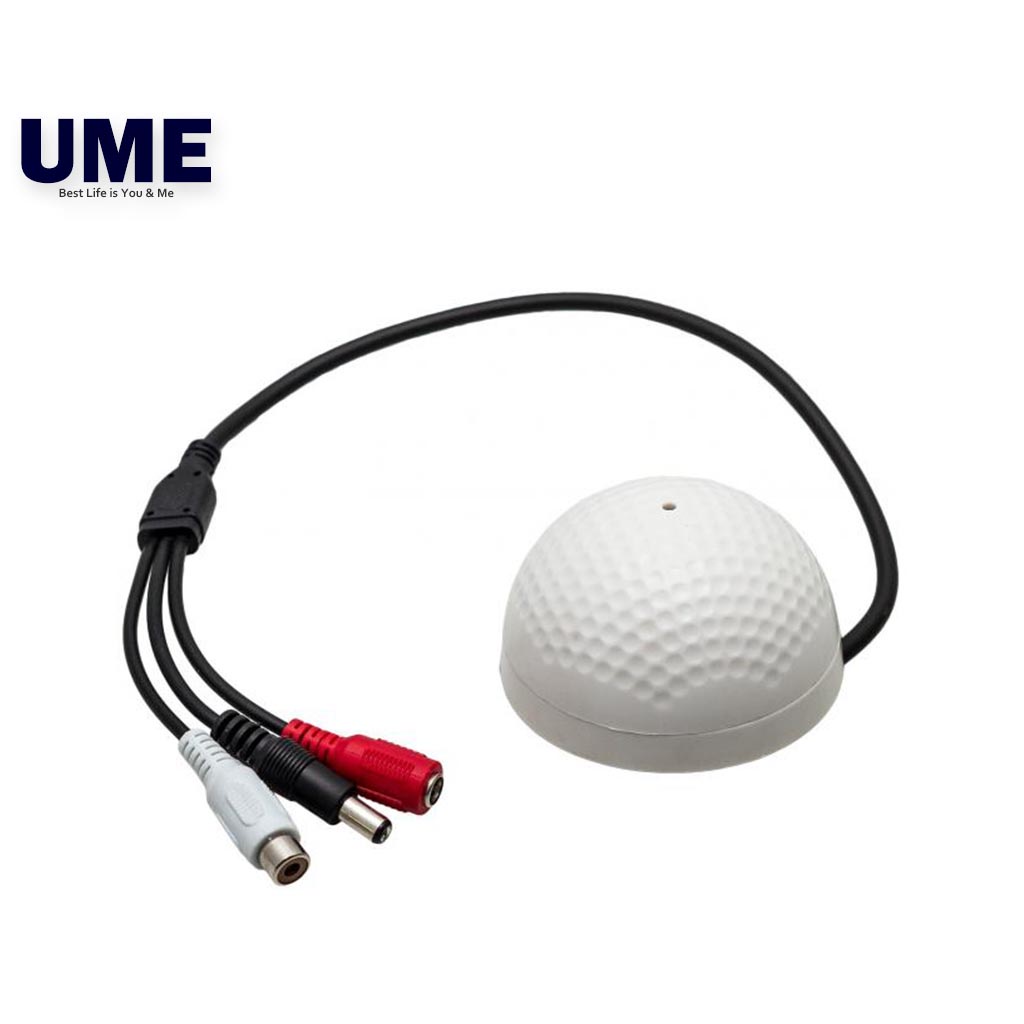 Security camera best sale audio microphone