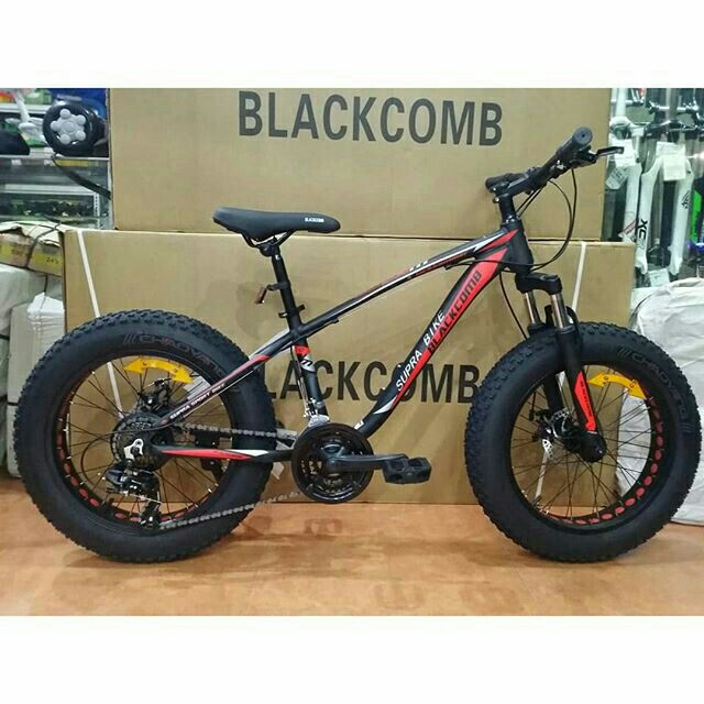 Phantom herculin fat online bike price