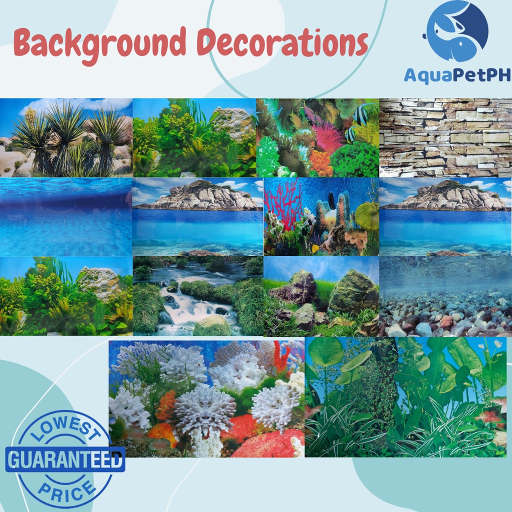 Colorful Aquarium Background Wallpaper 12 / 18 Inches With Back To Back