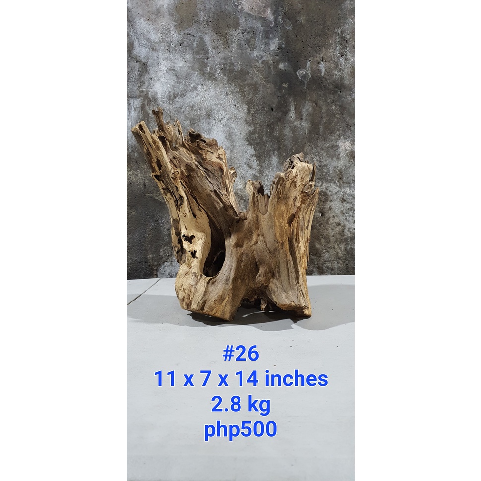 QUALITY 26 DRIFTWOOD LARGE [THEDRIFTWOODPROJECT] Shopee Philippines