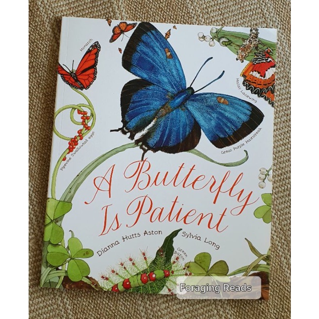 A Butterfly is Patient (Nature Book for Kids by Dianna