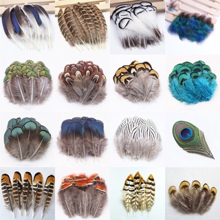50PCS Natural Pheasant Feathers DIY Crafts Headdress Decoration Clothing  and Hat Adornment Dream catcher Handicraf Decoration