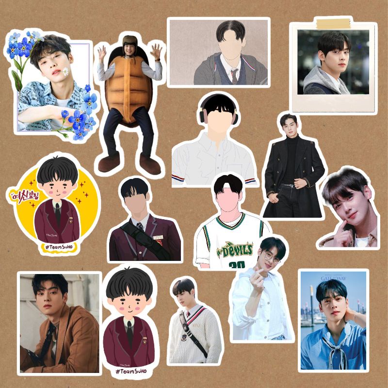 Cha Eun Woo Laminated VINYL Waterproof Stickers | Shopee Philippines