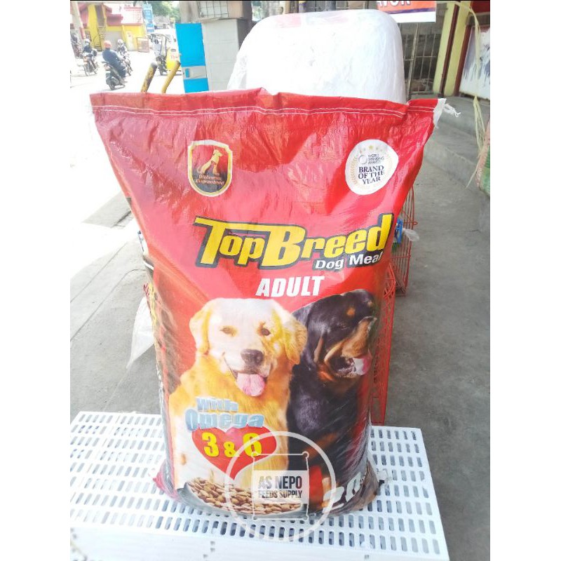 man-selling-reliable-dogs-stock