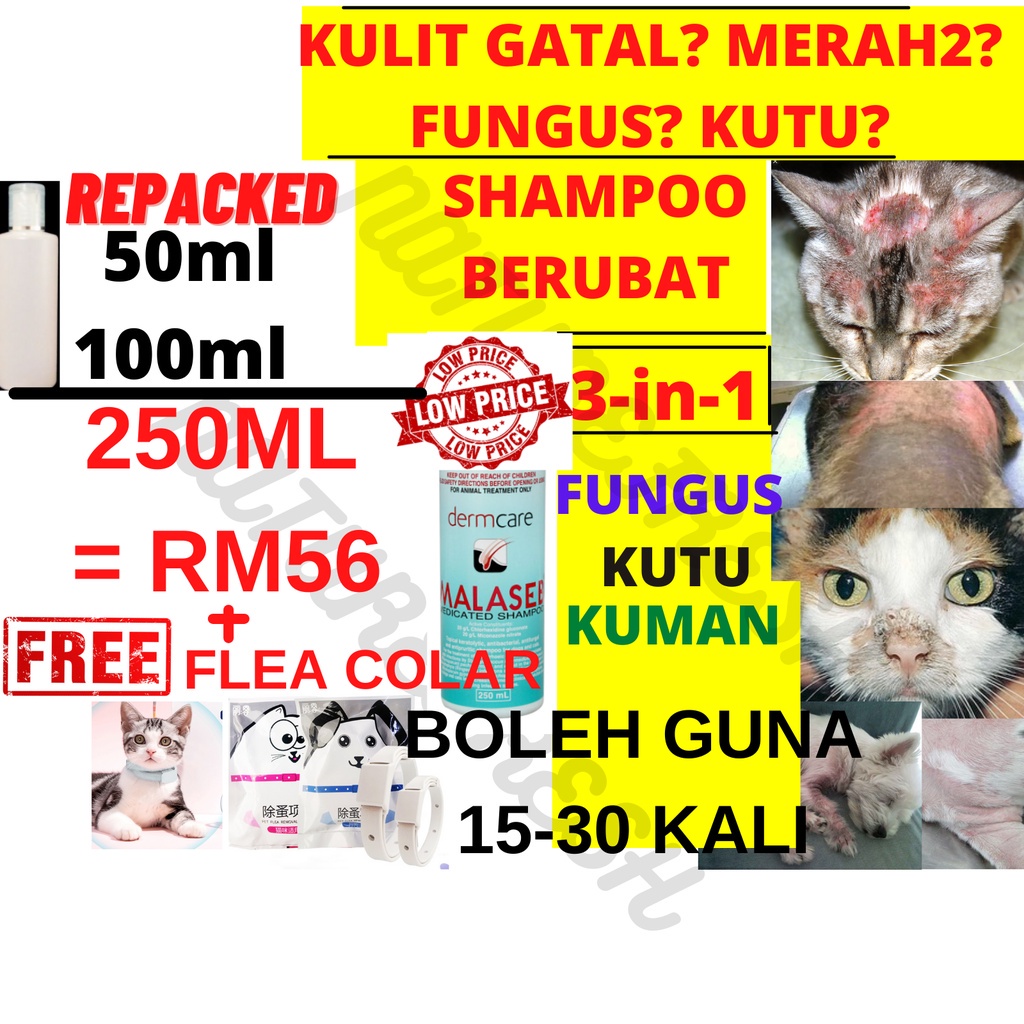 Malaseb shampoo fungus kurap AntiFungal AntiMITE flea AntiTICK pet