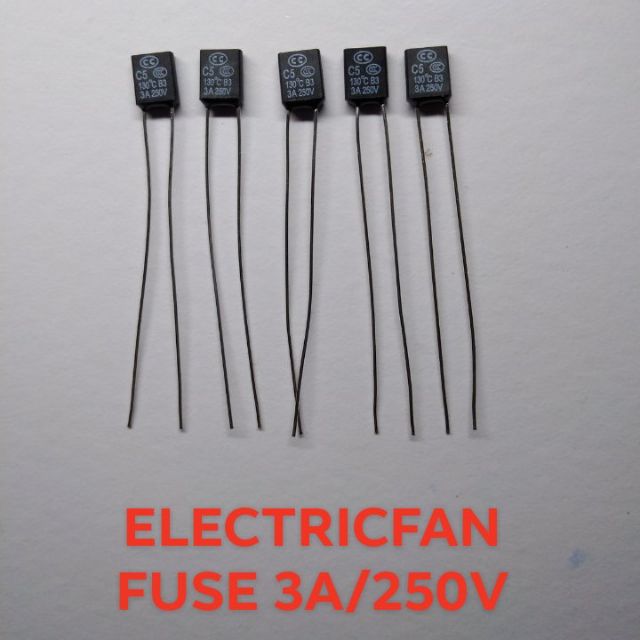 ( 10 PCS ) ELECTRIC FAN FUSE 3A/250V SQUARE Shopee Philippines