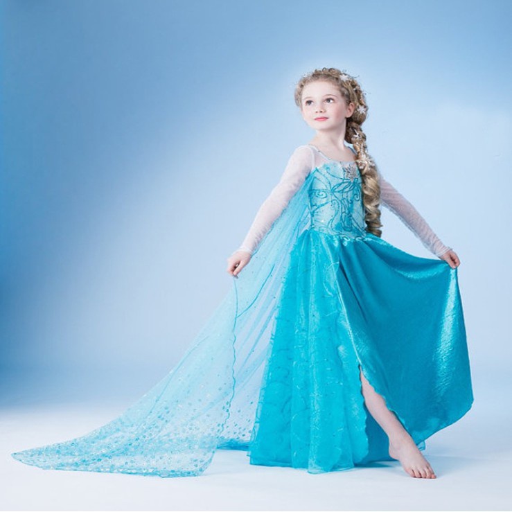 Frozen princess hot sale elsa dress