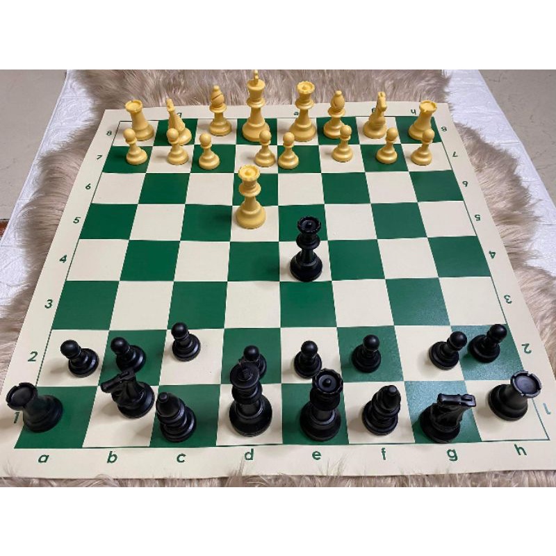 Tournament Chess Set W/ Fabric Chess Tube Bag (UPGRADED TO WEIGHTED ...