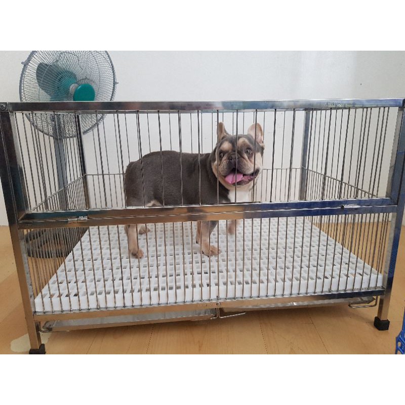 Whelping cage cheap for dogs