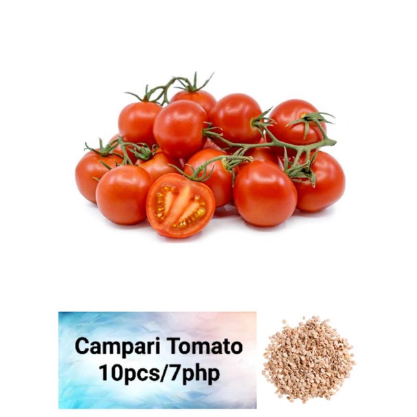 Campari Tomato Seeds (10pcs) Shopee Philippines