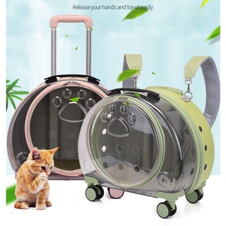 Cat on sale carrier warehouse