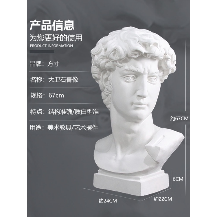 statue David Plaster Head Portrait Art Teaching Aids Studio Sketch