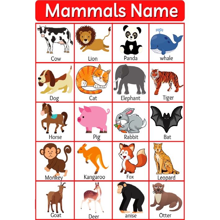 ANIMALS POSTERS, Animals Charts, Laminated Educational chart for kids ...