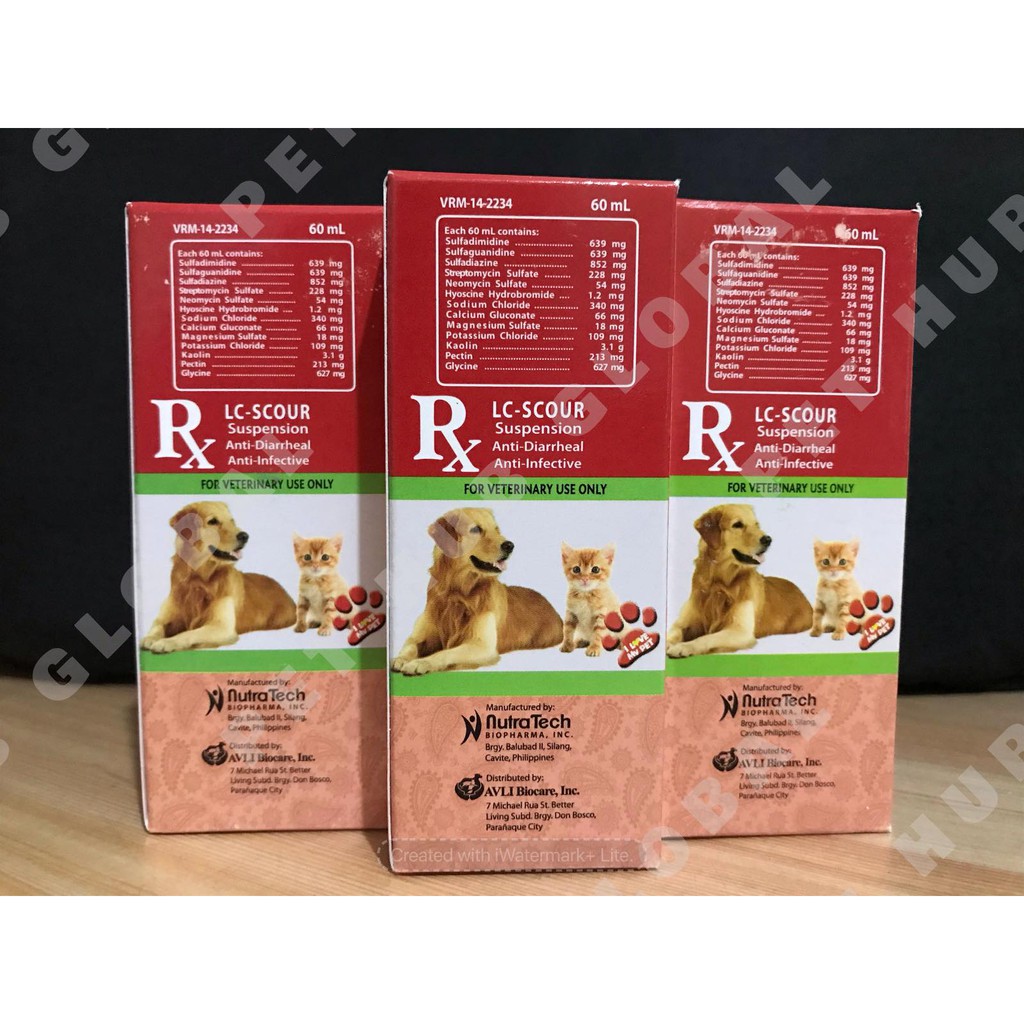 Otc dog 2024 diarrhea treatment