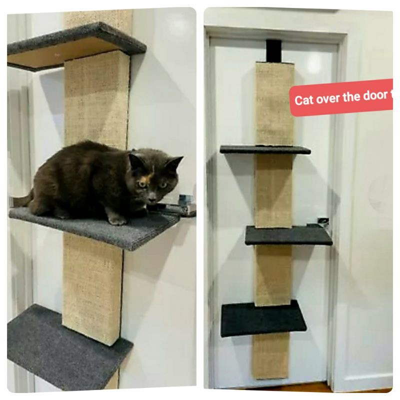 Over door hotsell cat condo