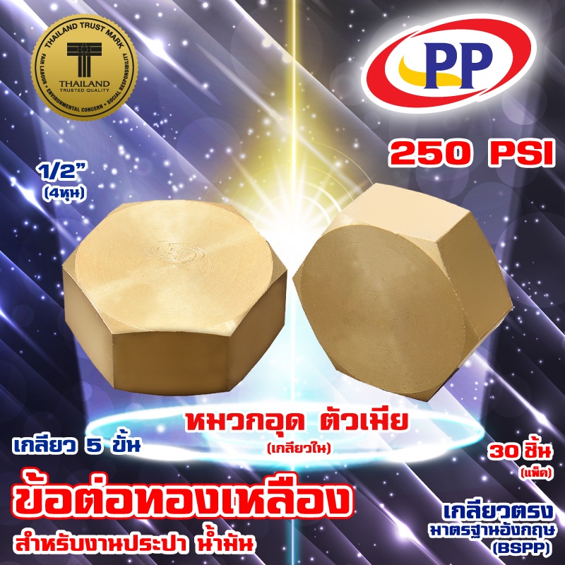 Brass Fitting Cap (Inner Thread) PP (PP) Size 1/2 
