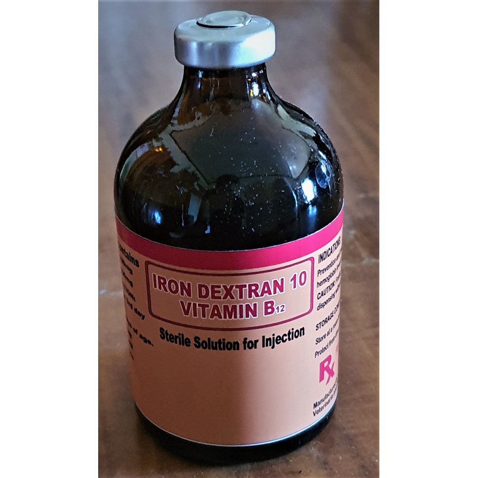IRON DEXTRAN B12 100ML Shopee Philippines
