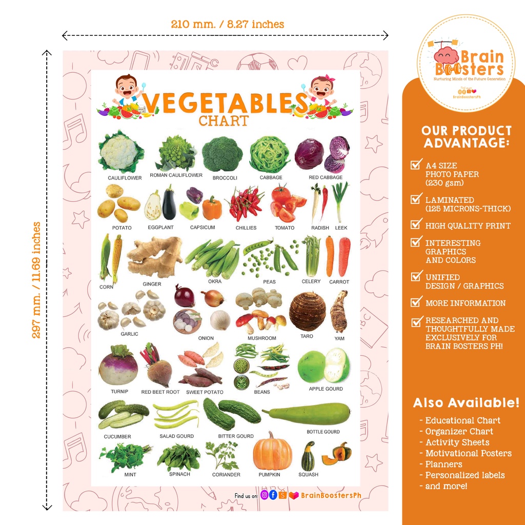 Vegetables Laminated Educational Chart 