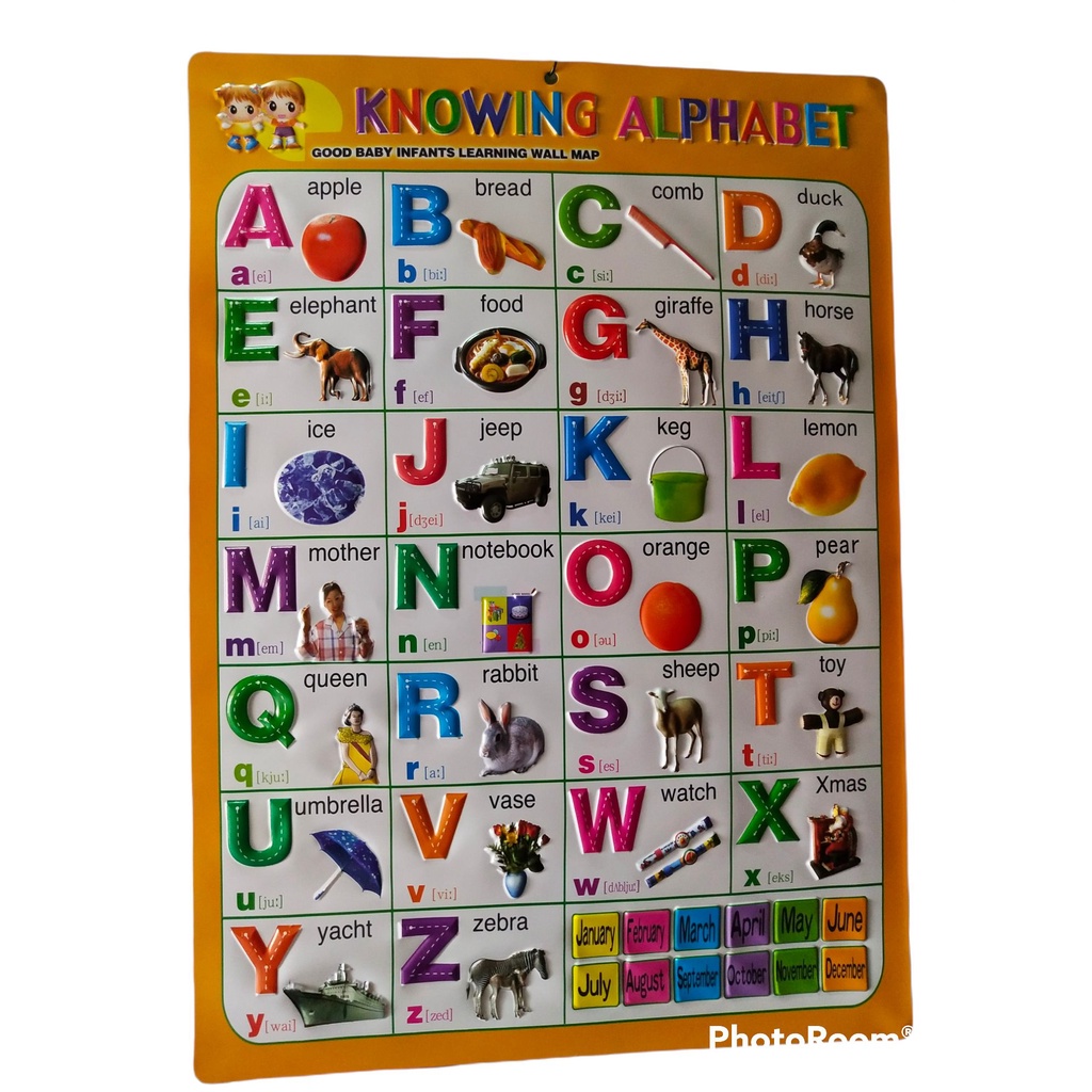 Educational Wall Chart Embossed 3d Pvc Plastic Shopee - vrogue.co