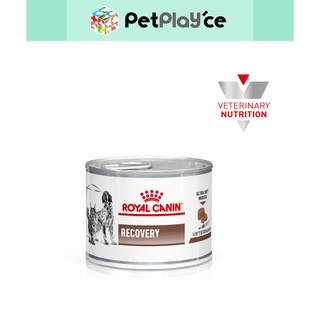 Recovery food hot sale royal canin