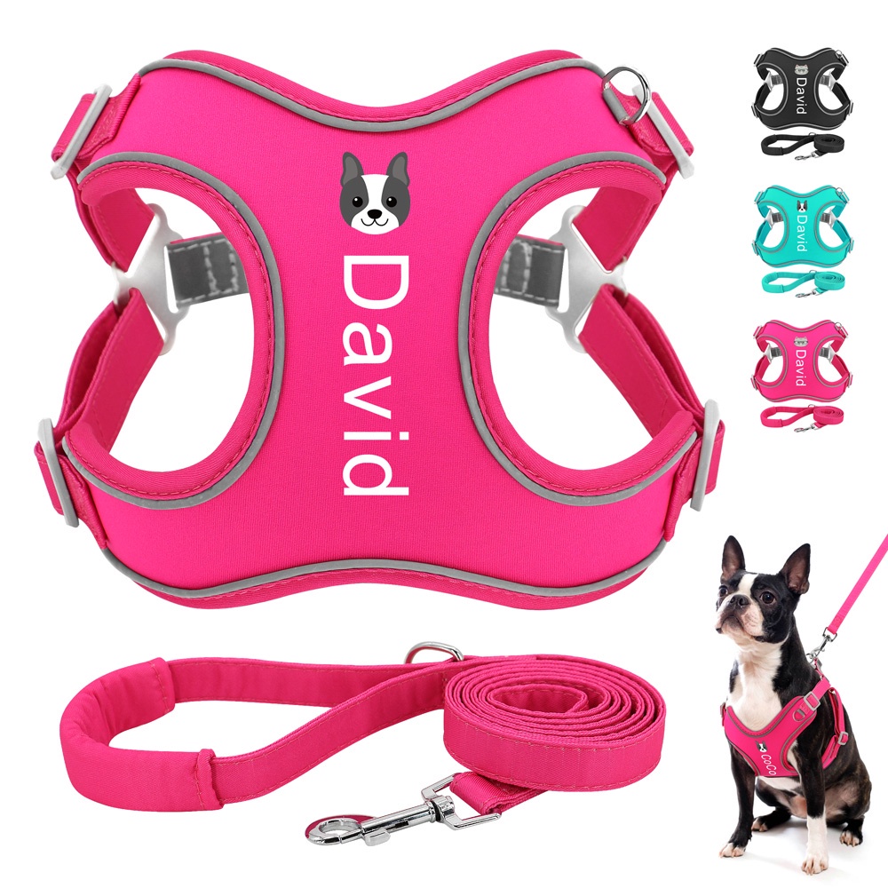 Solid Colour Personalised Dog Harness and Leash Adjustable Reflective