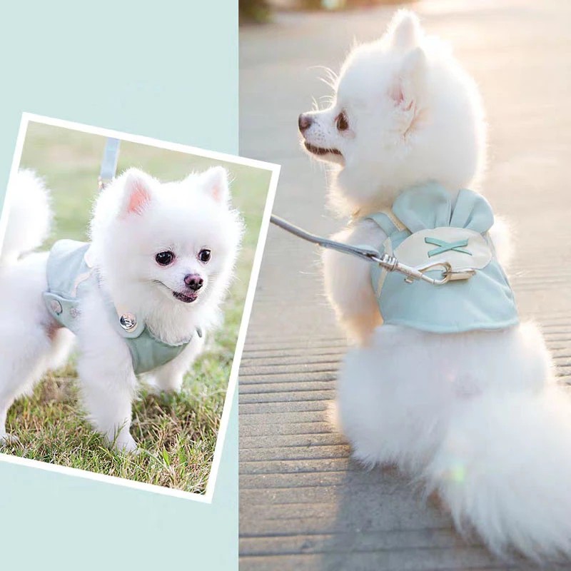 Pomeranian shock outlet collar