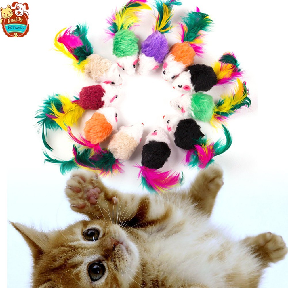 Cat shop toys shopee