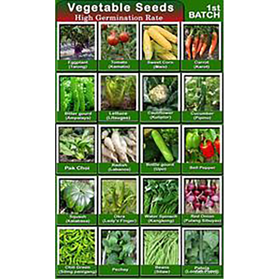 spot seeds20 Choices Vegetable Seeds Collection.High Quality Seeds!High