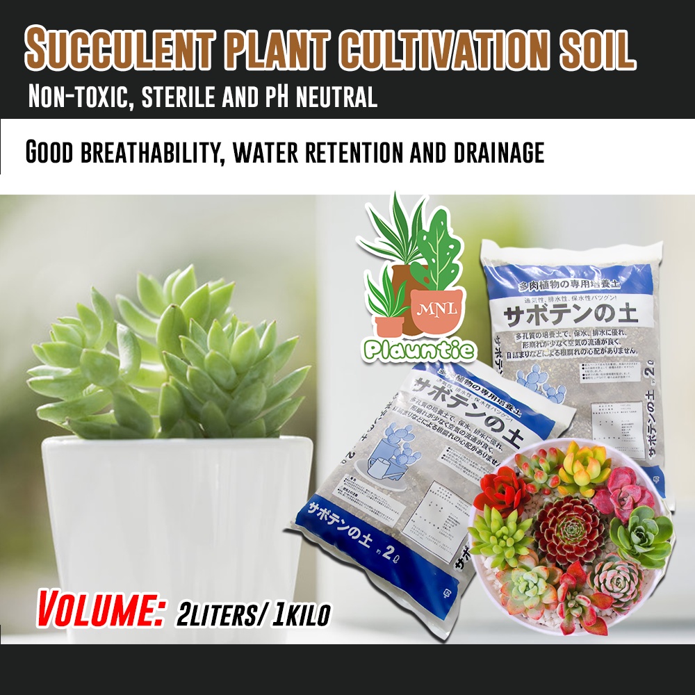 Japan cultivation soil Cactus and Succulent CNS Potting mix 2 liter ...