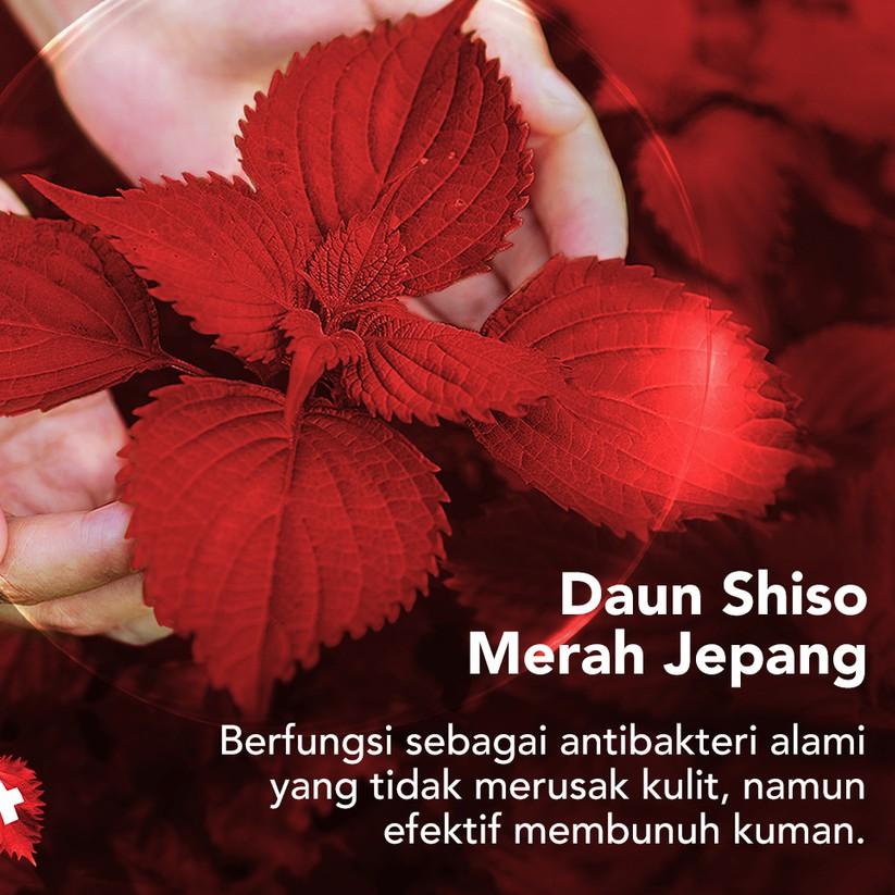 Zen Antibacterial Body Wash Shiso & Sandalwood Pump 500 mL Shopee