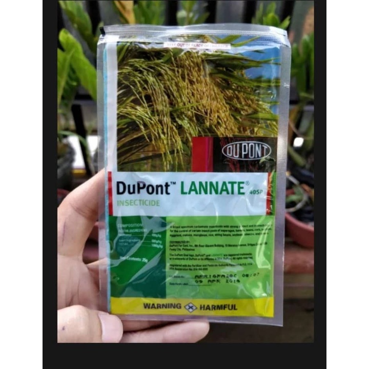 DuPont Lannete (Broad Spectrum Insecticide) | Shopee Philippines
