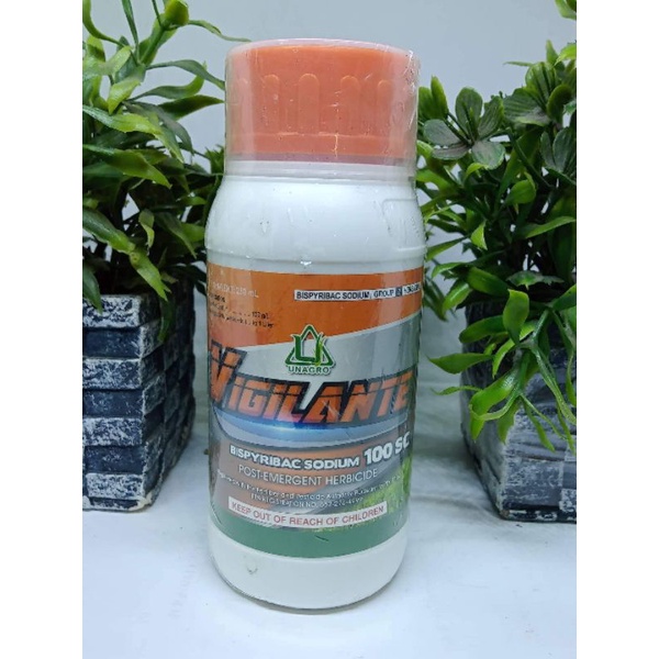Vigilante / Bispyribac sodium 100 SC ( 250 mL ) Shopee Philippines