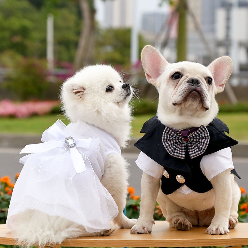 Dress Wedding Dress Dog Couple Suit Summer Small Dog Clothes Ropa Perro ...