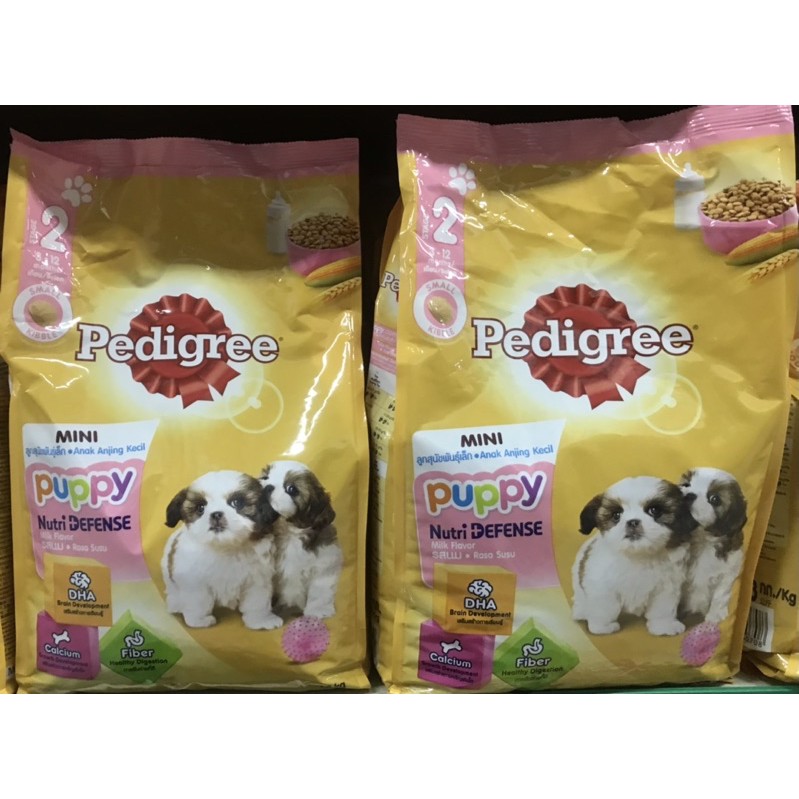 Pedigree for outlet 2 month puppy