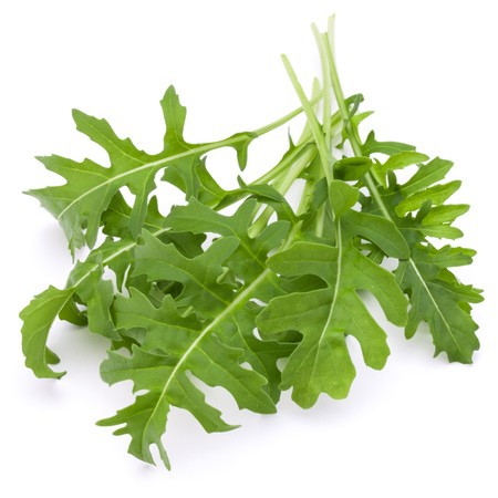 Arugula roquette wild rocket salad vegetable greens seeds | Shopee ...