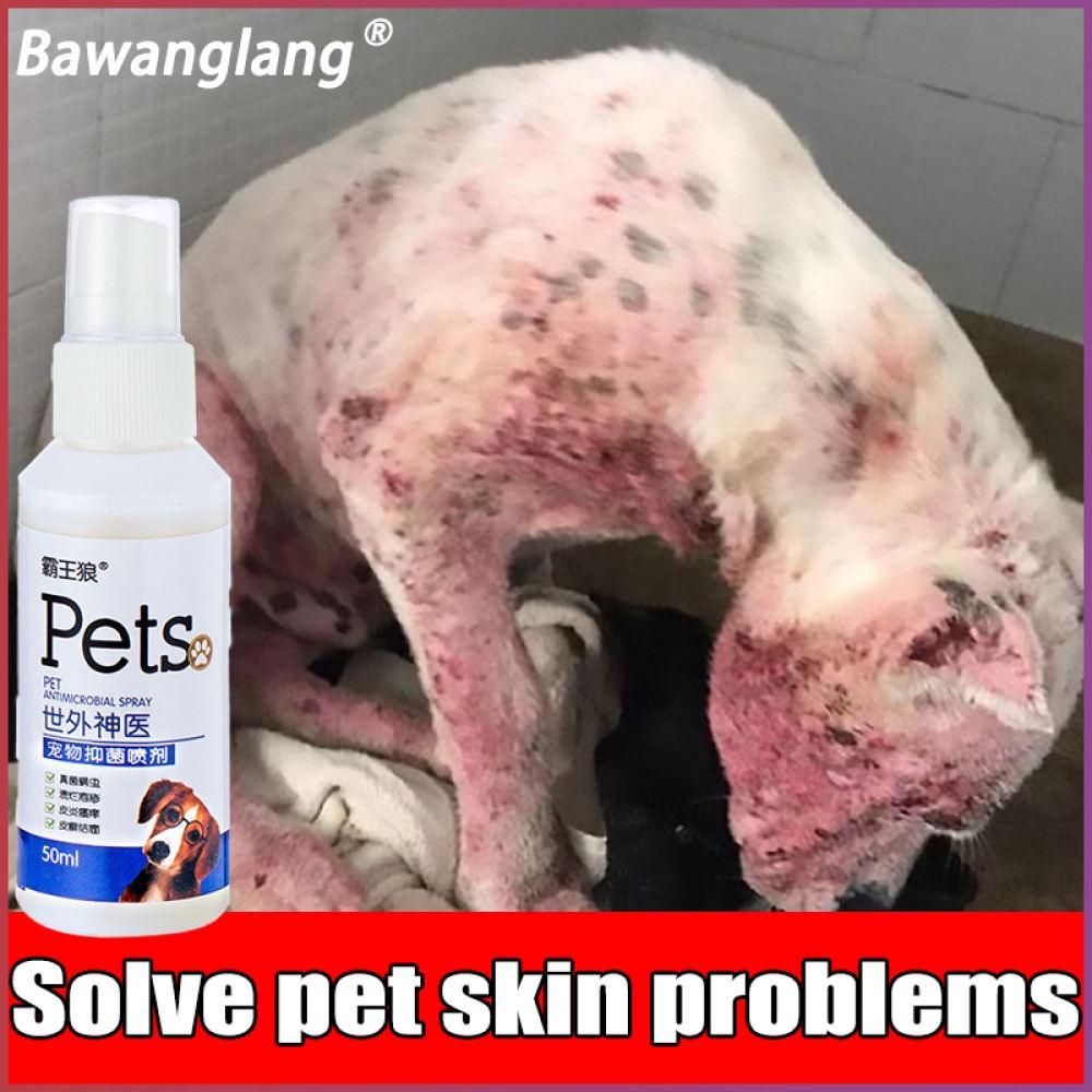 Pet antibacterial spray eliminate parasites Skin disease leprosy