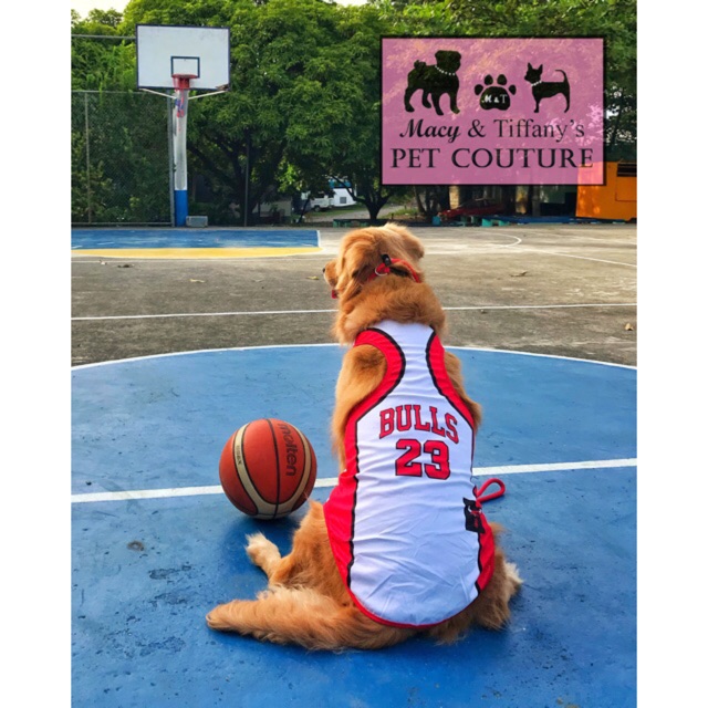 Chicago Bulls Mesh Basketball Dog Jersey – The Real Dogs