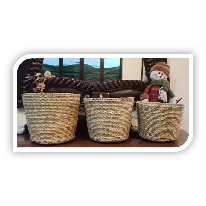 Native Baskets Tikog Medium Organizer Native Products Shopee