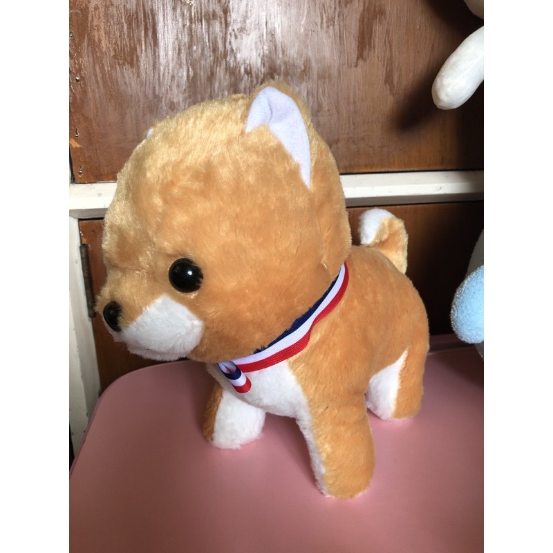 Amuse shiba cheap inu