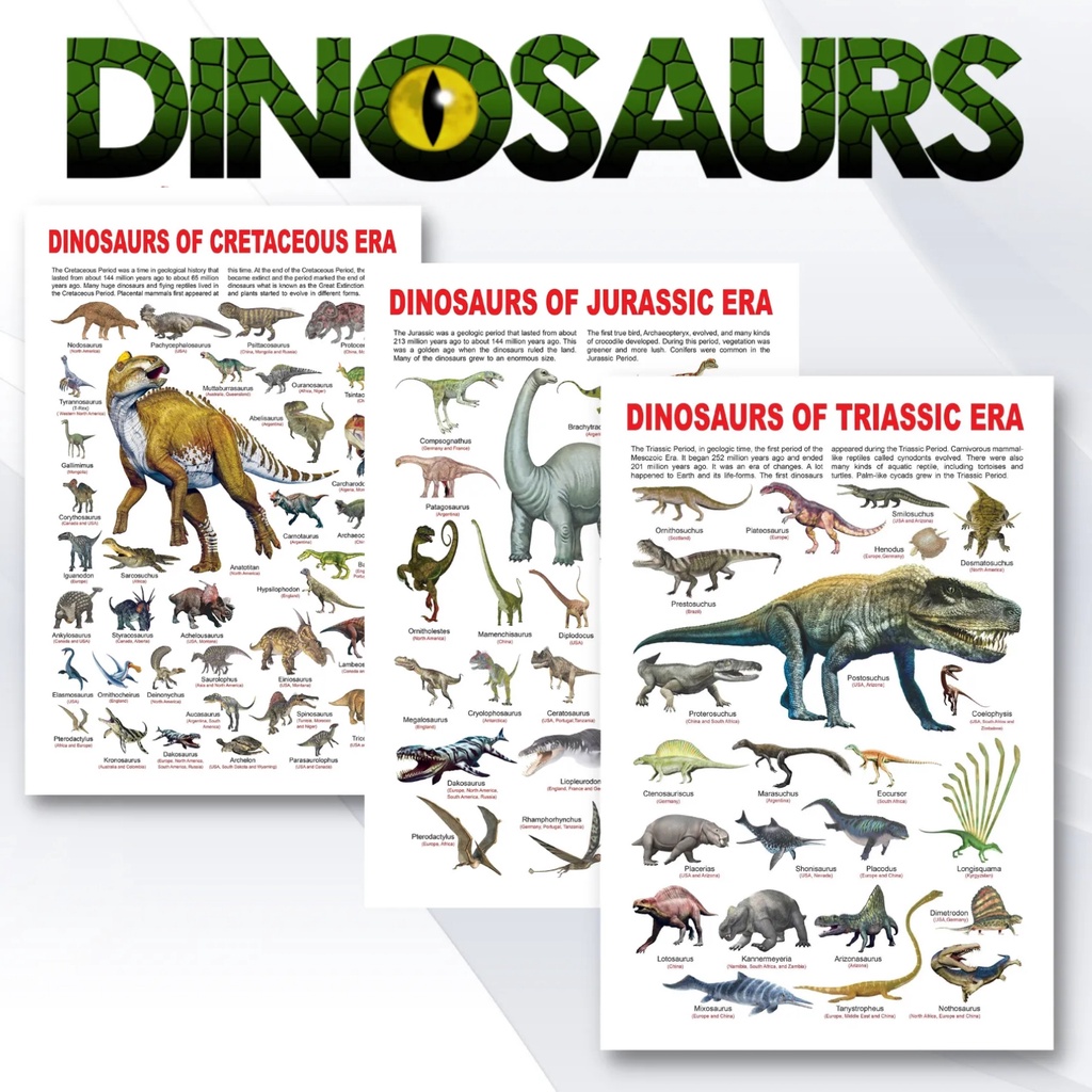 Laminated Dinosaurs Chart for Kids, Learners and Students, Science