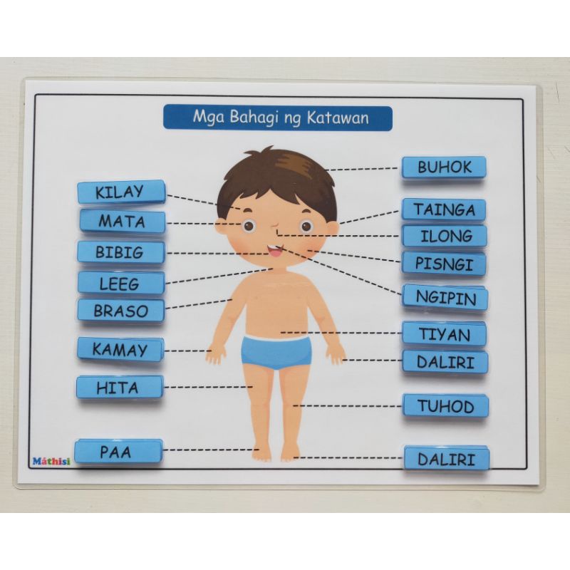 BODY PARTS WORKSHEET (ENGLISH & TAGALOG) LEARNING MATERIAL TEACHING