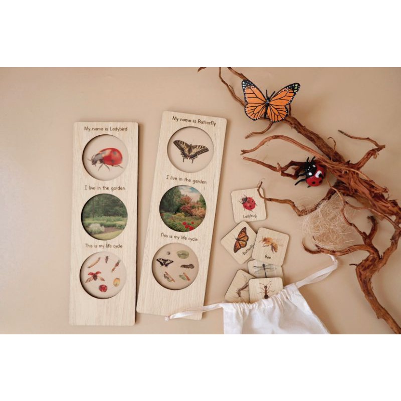 Wooden Ailee Life Cycle Set/wooden toys educational | Shopee Philippines
