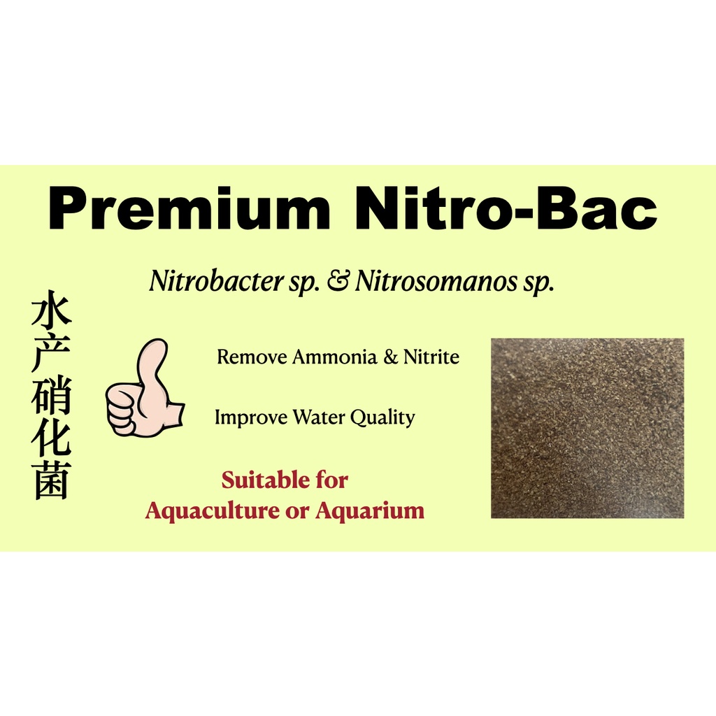 Premium Nitro-Bac Nitrobacter & Nitrosomonas Nitrifying Bacteria for ...