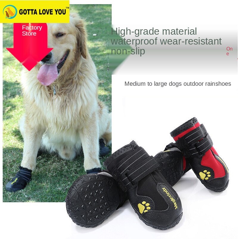 Dog 2025 shoes shopee