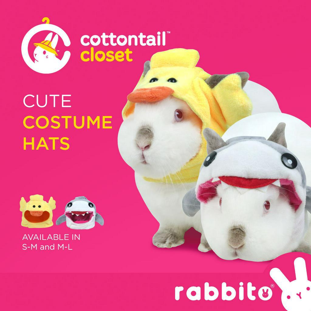 Cottontail Closet CUTE COSTUME HATS for rabbits and cats | Shopee ...