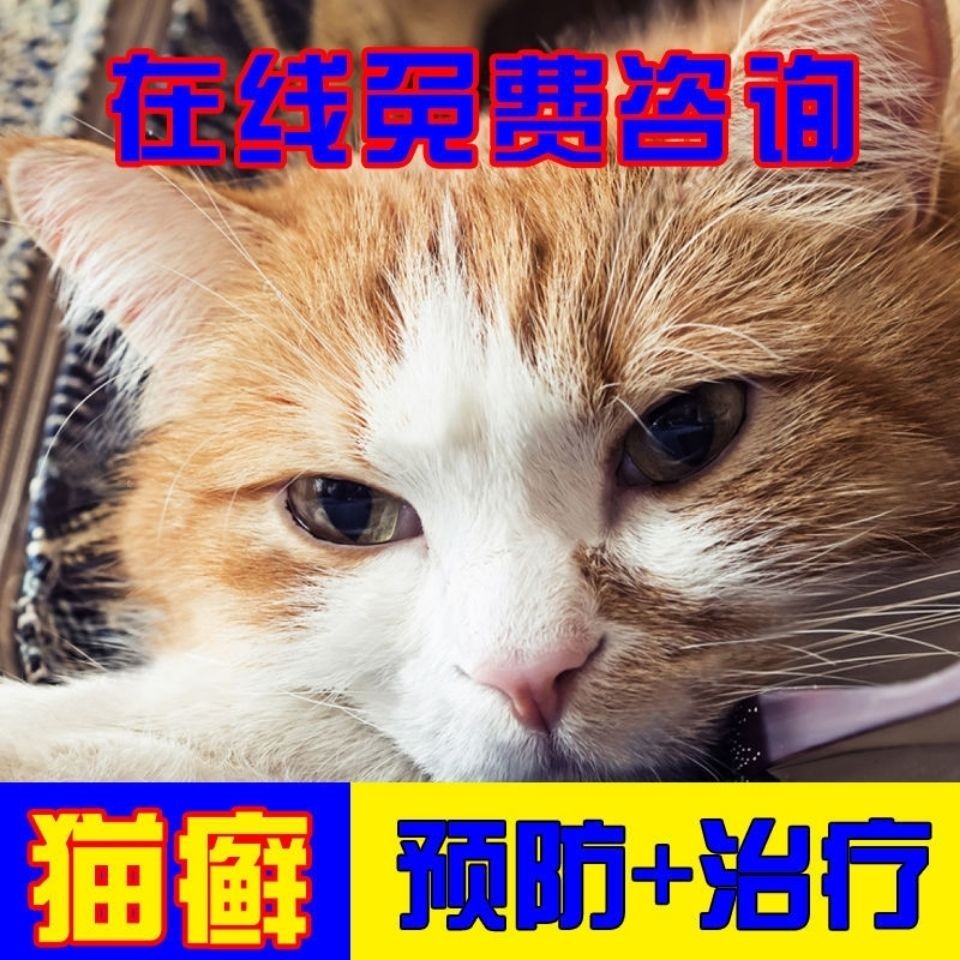 Australia Fente Cat Skin Disease Spray Use External Medicine Pet Fungus