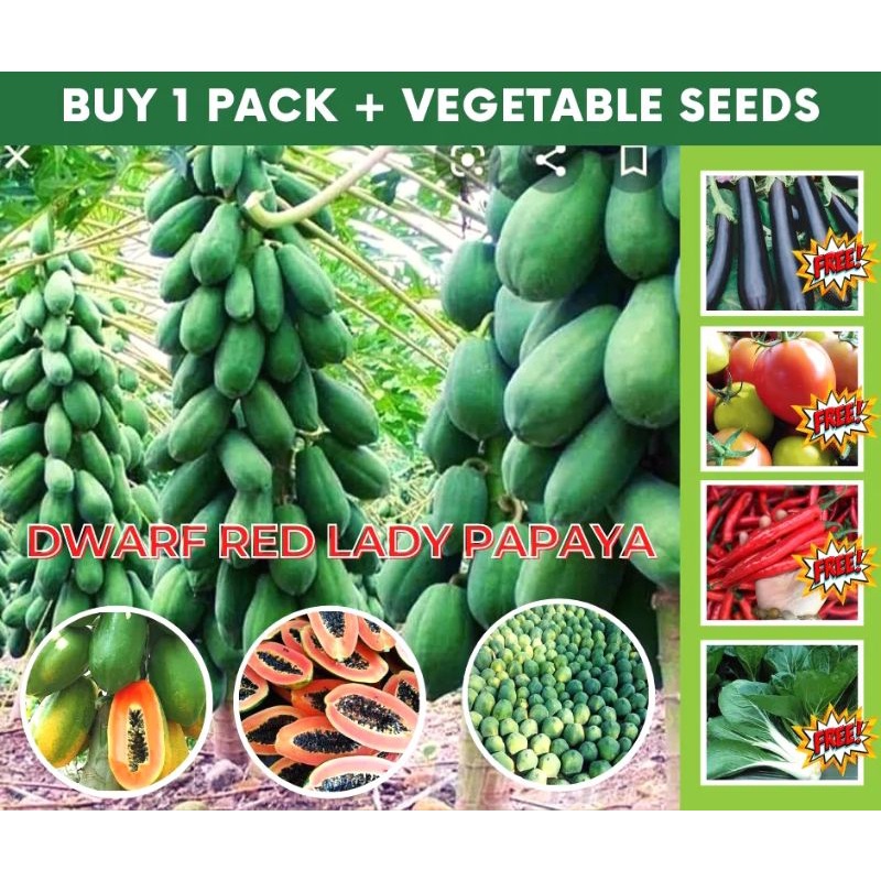 FREE SFPackage 1 with 6 FREEBIES Shopee Philippines