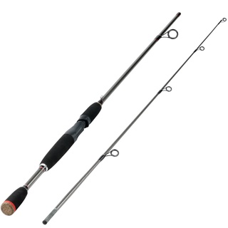Spinning Rod and Reel Combos Carbon 2 Section Fishing Rod with