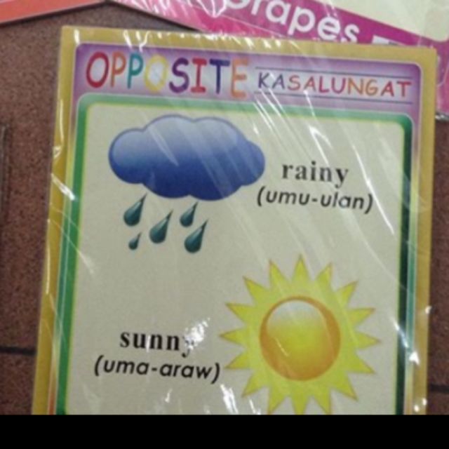 Flash cards -Opposites with Filipino translations | Shopee Philippines